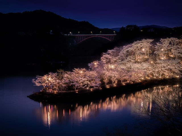 惠那峽櫻花祭