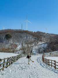 3월까지도 눈이 오는 겨울왕국 대관령 ❄️☃️