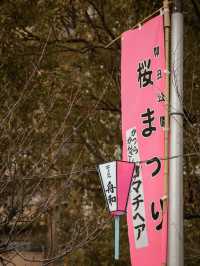 東京｜櫻花之旅 隅田公園美到窒息🌸