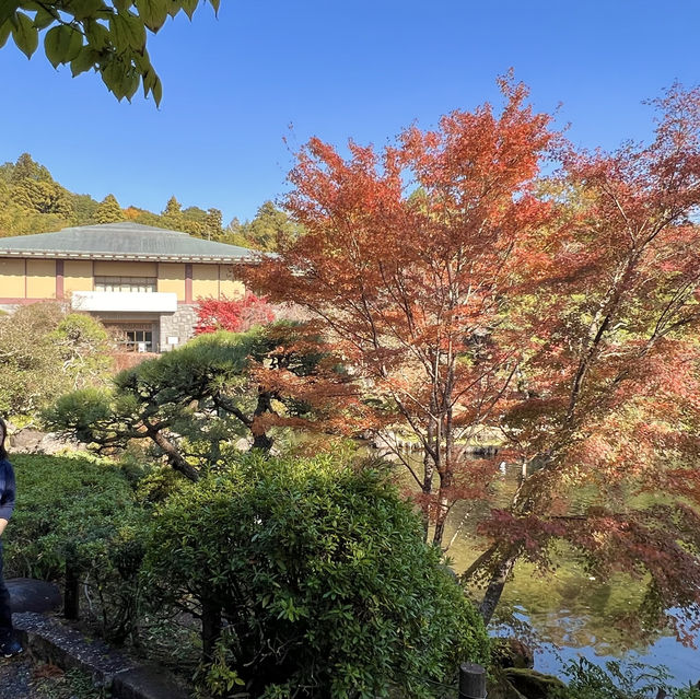 成田公園的秋天