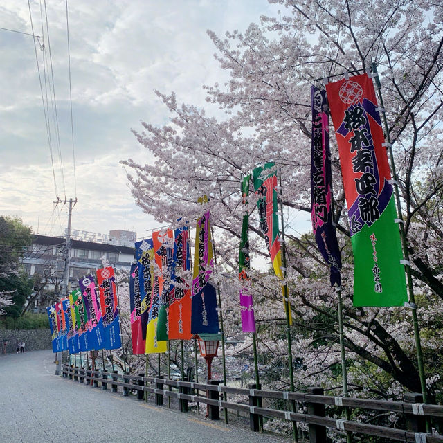 5年ぶりのこんぴら歌舞伎！