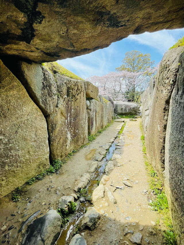 【奈良県】日本最大級の石室古墳「石舞台古墳」