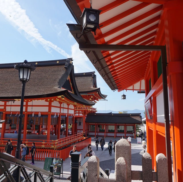 Thousand of Vermilion Torii Gates