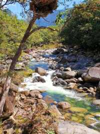 Daintree National Park