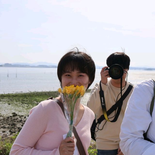 청산도에서 보는 유채꽃 축제의 향연
