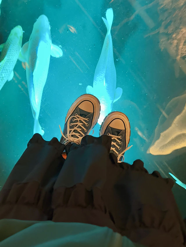 【神戸】アクアリウムとアートが融合した都市型水族館 『atoa』