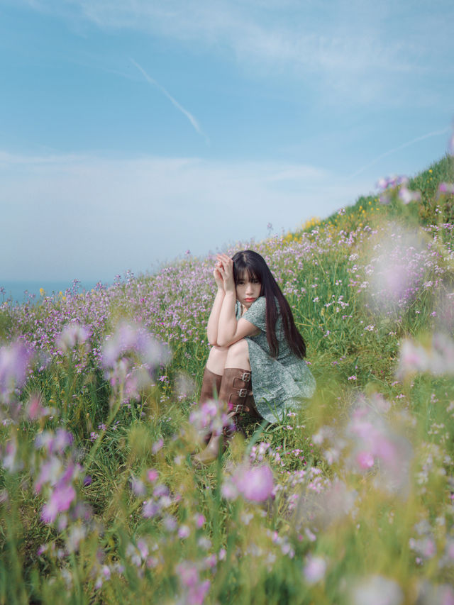🇰🇷濟州島｜在咸德犀牛峰的隱藏版景點-蘿蔔花💜
