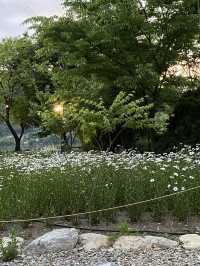 탁 트인 뷰와 함께 힐링하는 계룡산사계절캠핑장🏕️
