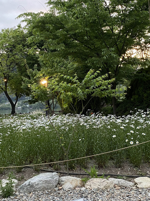 탁 트인 뷰와 함께 힐링하는 계룡산사계절캠핑장🏕️