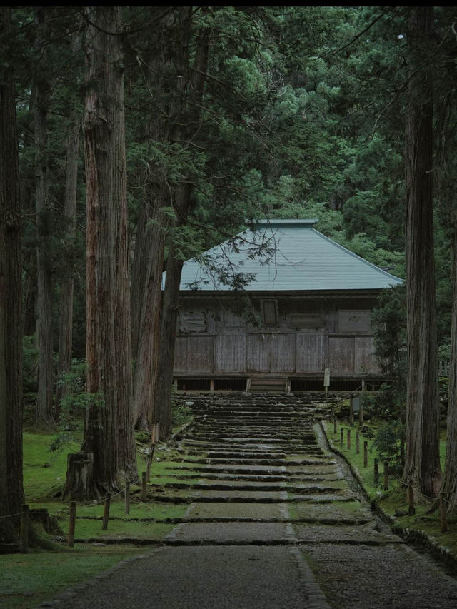 【福井】創建717年🕰 その歴史を物語る佇まいをした神社を紹介🔍