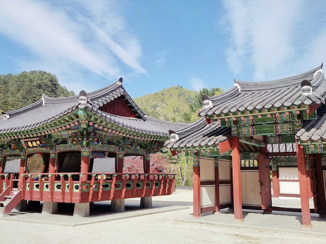 Baekdamsa Temple