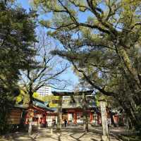일본여행 후쿠오카 스미요시 신사住吉神社