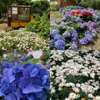 【臺北】大安森林公園：綠意盎然，共享美好時光