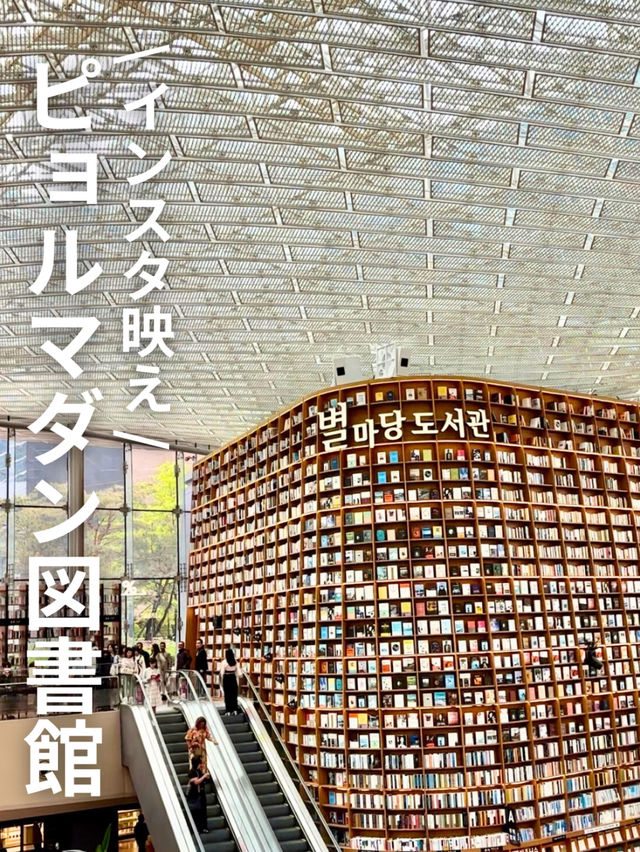 🇰🇷インスタ映えピョルマダン図書館