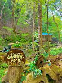 【栃木】ココはどこ？森と水辺の絶景癒しカフェ𖠚ᐝ