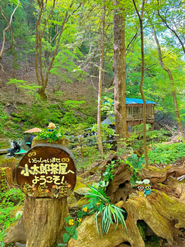 【栃木】ココはどこ？森と水辺の絶景癒しカフェ𖠚ᐝ
