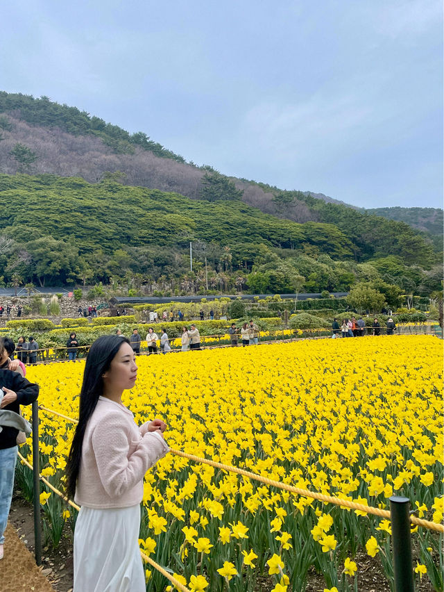 💐거제 공곶이 가신다구요? 이렇게 가지마세요🙅🏻‍♀️