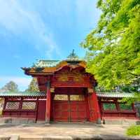 夏旅は東京へ行こう💠東京上野でお寺巡り『寛永寺』