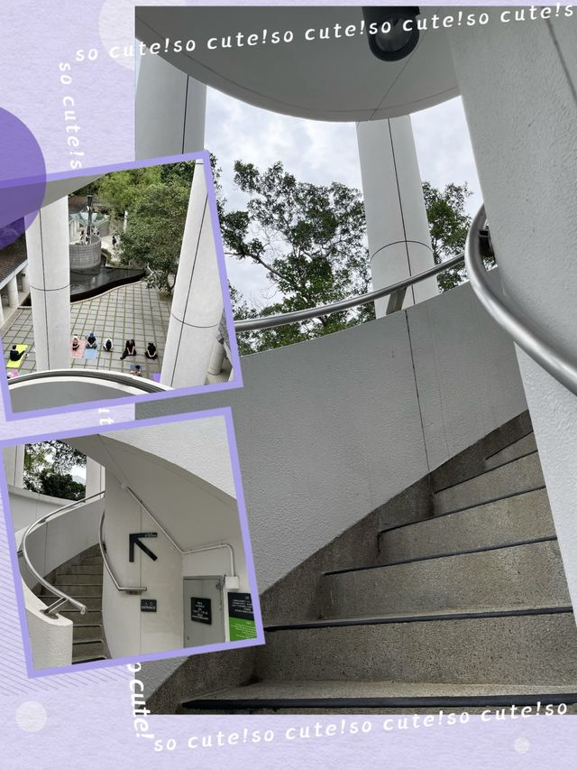 🌟 香港公園之美：太極園與360度鳥瞰角探秘 🏞