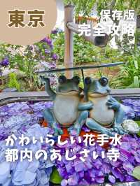 【東京】可愛すぎるあじさい寺
