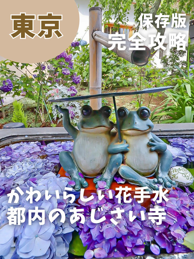 【東京】可愛すぎるあじさい寺