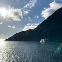 Milford Sound 米爾福德峽灣 游船+皇后鎮巴士來回