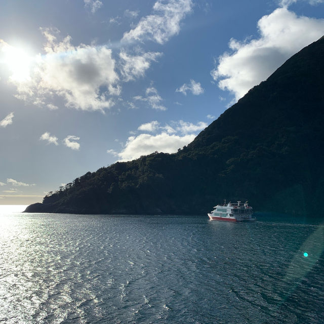 Milford Sound 米爾福德峽灣 游船+皇后鎮巴士來回