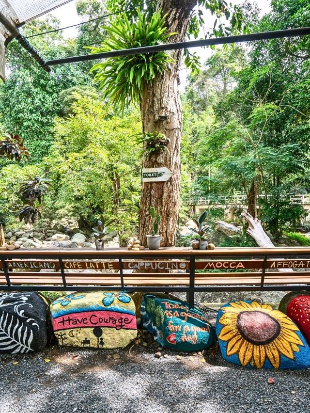 ☕️ นั่งชิลริมน้ำตก The Waterfall Farm Cafe