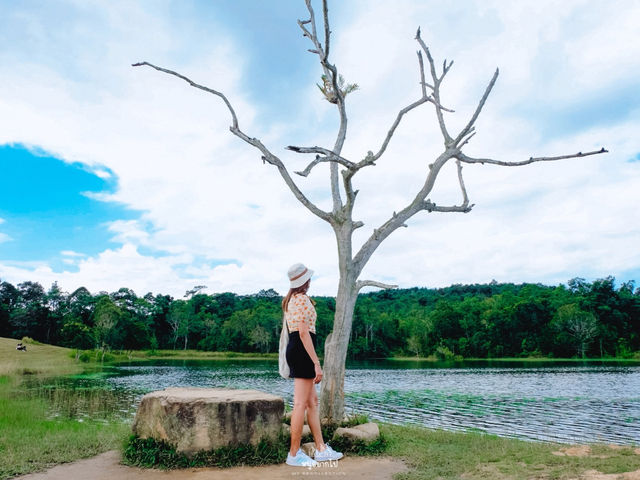 ฤดูฝนนี้…ไปสูดอากาศที่เขาใหญ่กันเถอะ