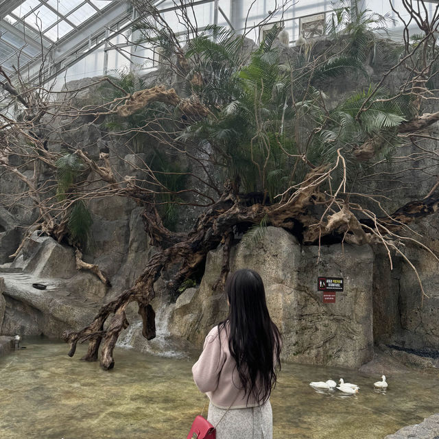 유명해지기전에 다녀와야할 가평 신상핫플🌷