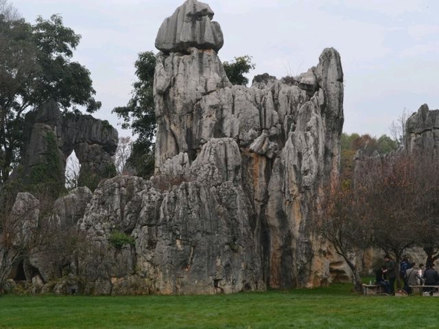 A magnificient stone forest formation, Shi-Lin Stone Forest
