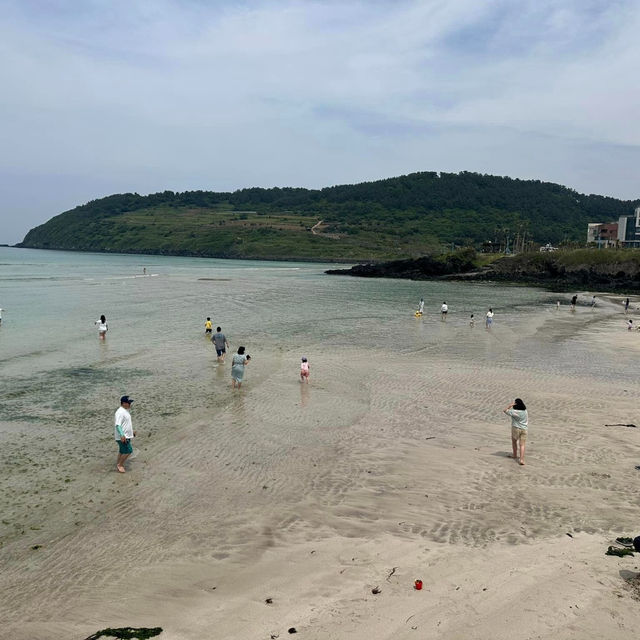 Coastal Bliss: Cafe Delmoondo, Hamdock Beach
