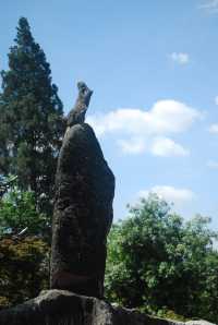 Stone Forest, The Wonder under the Heaven