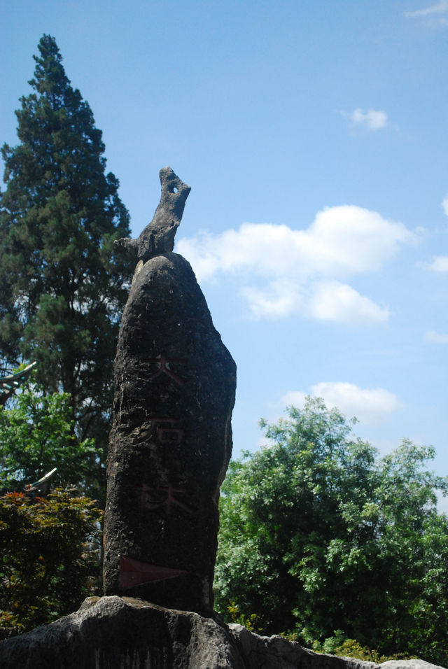 Stone Forest, The Wonder under the Heaven