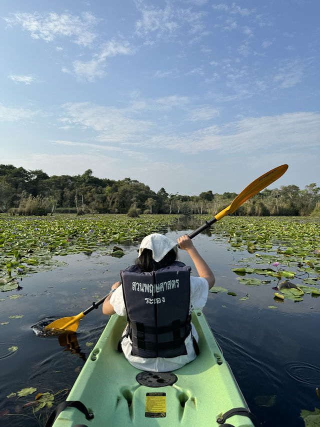 สวนพฤกษศาสตร์ | ระยอง 🚣🏻‍♂️🌳🌿☀️