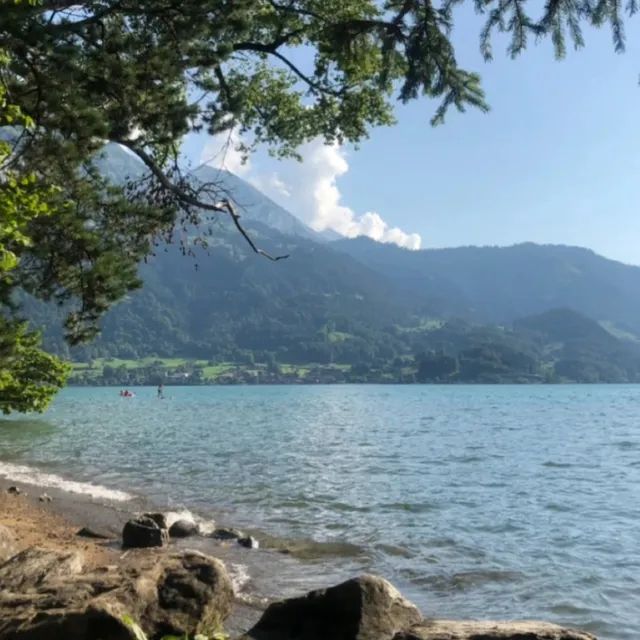 🇨🇭드넓은 스위스 호수에서 수영하기! 꼭 해보세요:)