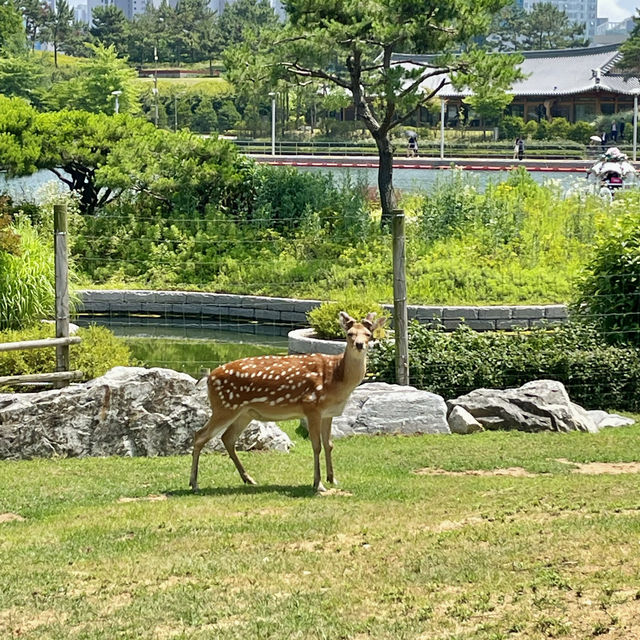 인천 여행 가볼만한곳 송도 센트럴파크 빌딩숲 추천