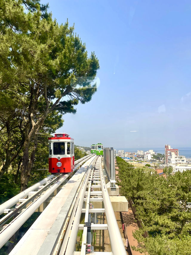 韓國釜山/絕美 天空膠囊列車🩵