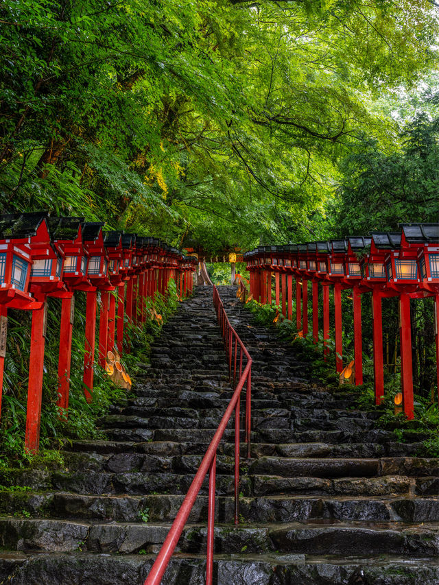 初日に行っちゃダメ『貴船神社』七夕笹飾りライトアップが開催中7/1~8/16まで🎋