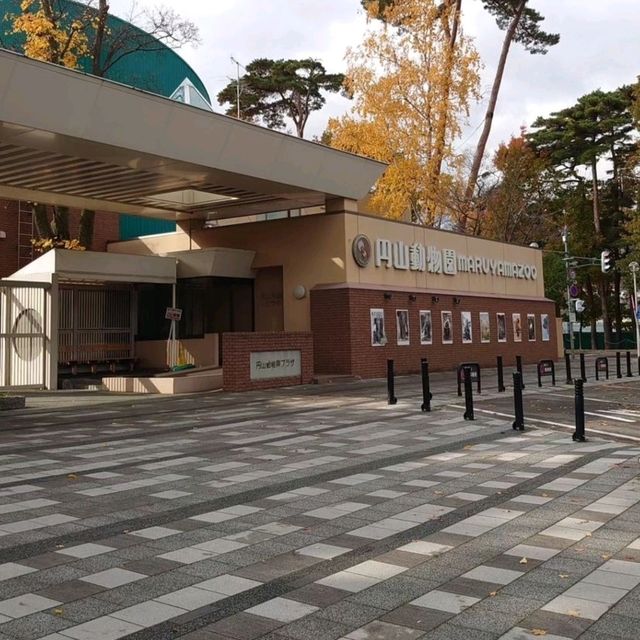 北海道第一座動物園，有北極熊館和日本最大象舍