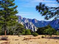 👣 Day Hike at Mt San Jacinto Park 