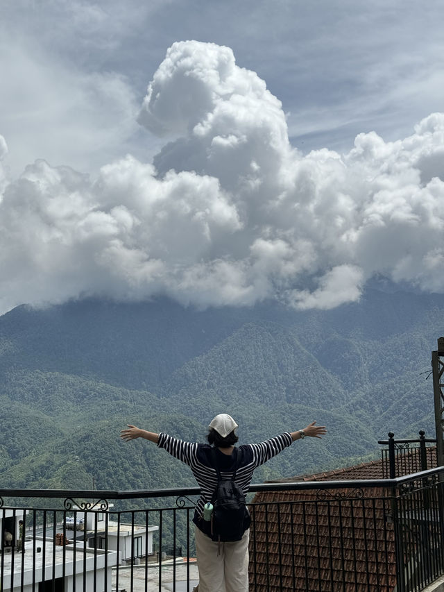 ฤดูฝนที่พิสตาชิโอ | ซาปา 🏣⛰️🌧️🇻🇳