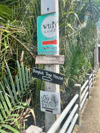 Bangkok Tree House บางกระเจ้า