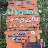 ที่เที่ยวเกาะช้างเลี้ยวซ้าย ป่าชายเลนสลักเพชร ตราด
