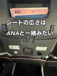 初めてのAirJapan