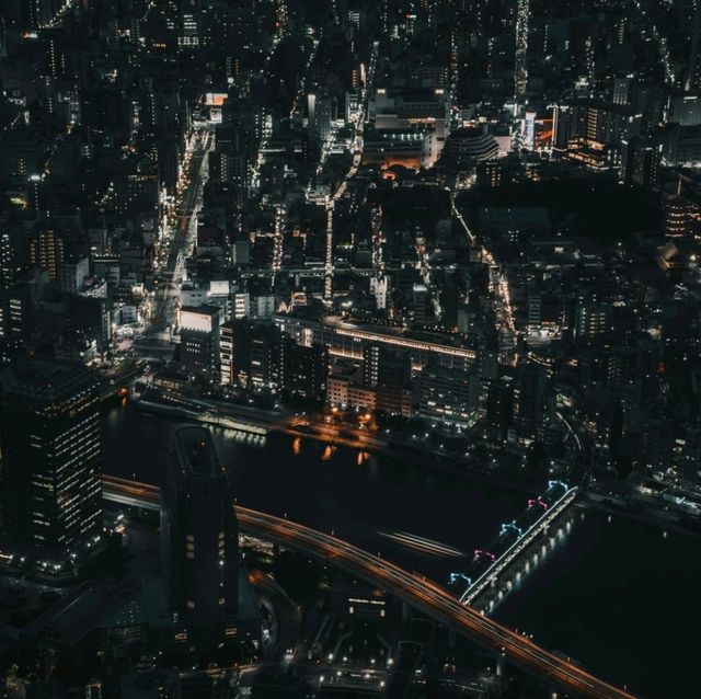 Possibly the best view of Tokyo