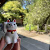 東京另類探貓行程 - 招財貓神社 「豪德寺」