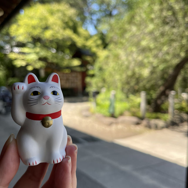 東京另類探貓行程 - 招財貓神社 「豪德寺」
