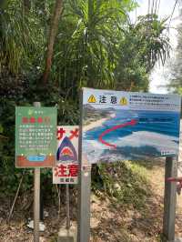 奄美大島　恋のパワースポットハートロック💖🪨