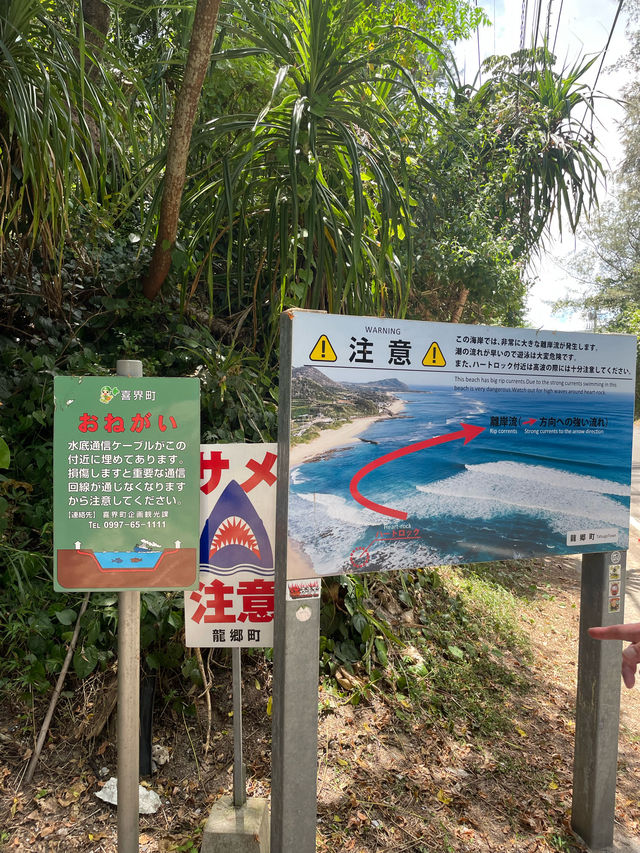 奄美大島　恋のパワースポットハートロック💖🪨